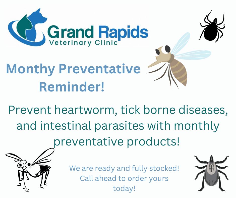 Get Your Pet's Monthly Preventatives at Grand Rapids Veterinary Clinic