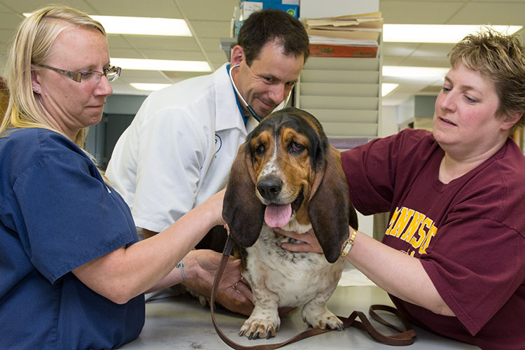 Dr. Hans Kaldahl performs a pet wellness exam at Grand Rapids Veterinary Clinic in Grand Rapids, Minnesota.
